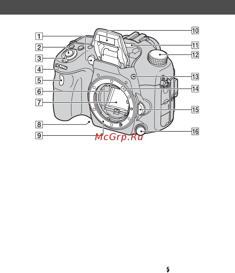 Sony SLT-A77Q+1650 [18/546] Элементы фотоаппарата