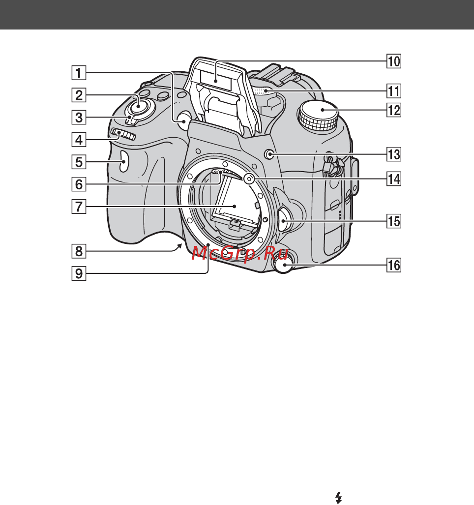 Sony SLT-A77Q+1650 [294/546] Елементи фотоапарата