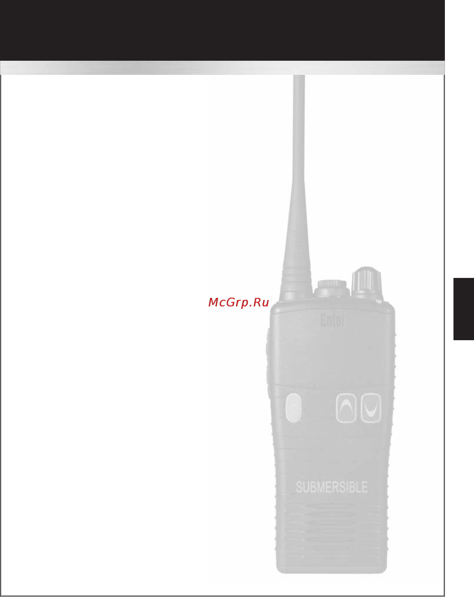 Entel HT883 [11/24] Dealer programmable features