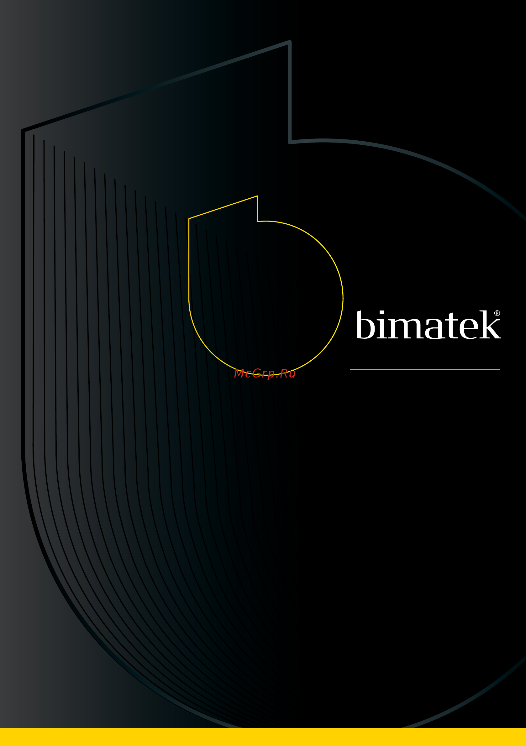 Bimatek MW300 Инструкция по эксплуатации онлайн [2/12] 71644