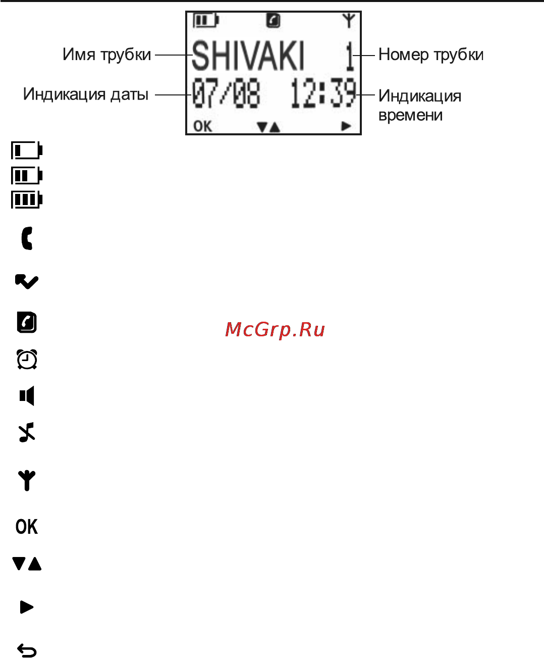Shivaki SH-D6101 [6/48] Значения символов появляющихся на дисплее трубки