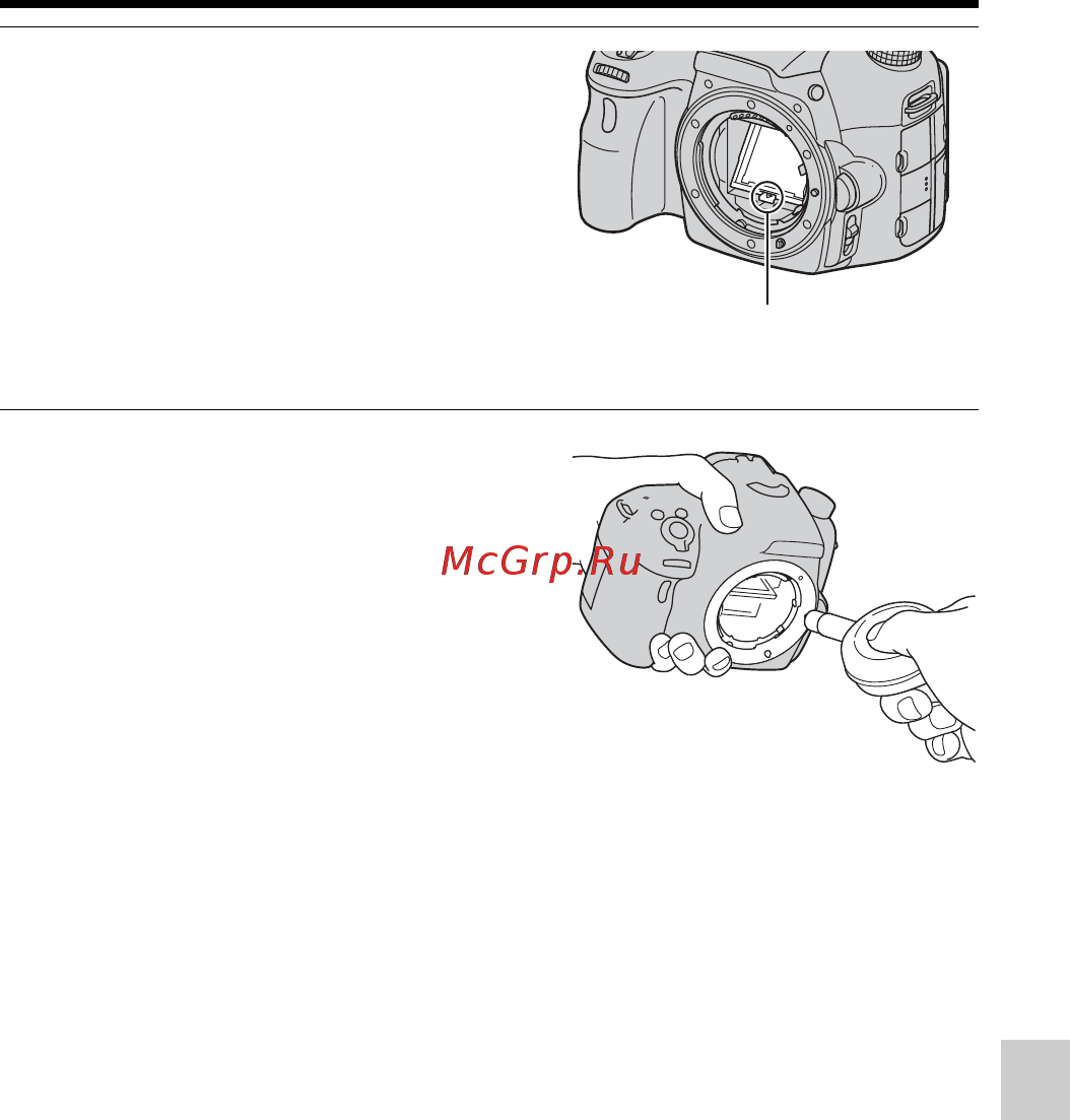 Sony SLT-A65V [213/251] Используйте фотогрушу для очистки поверхности датчика изображения и прилегающих элементов