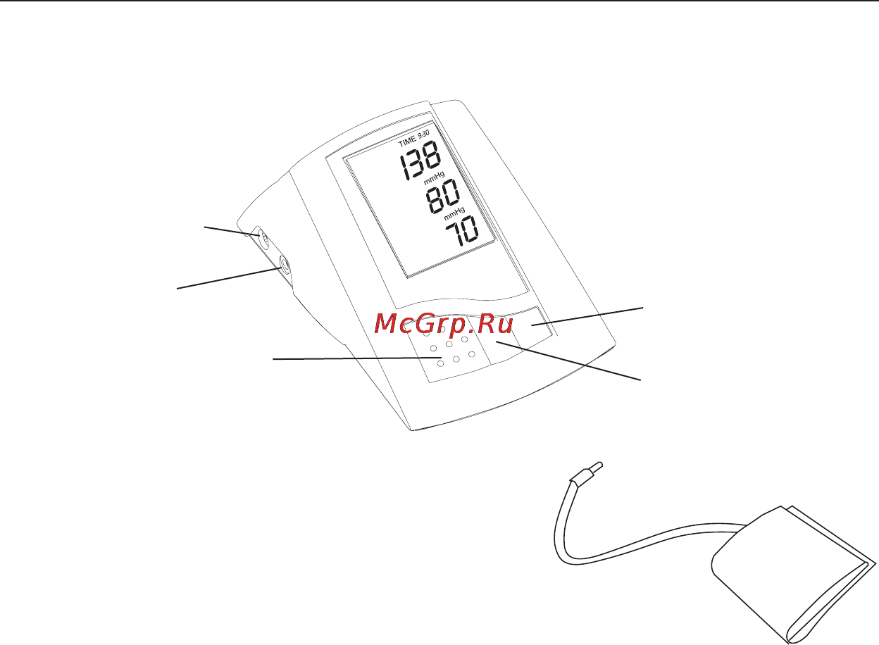 Microlife BP 3BT0-A(2) Инструкция по эксплуатации онлайн [31/38] 72587