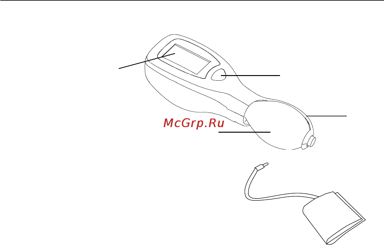 Microlife BP 3AS1-2 Инструкция по эксплуатации онлайн [31/50] 72604