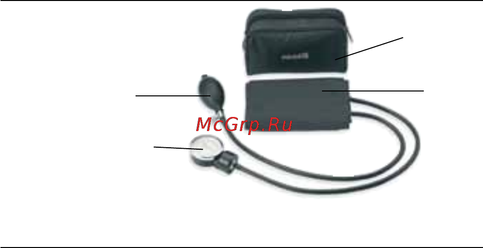 Microlife AG1-10 Инструкция по эксплуатации онлайн [20/68] 72627