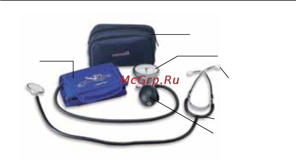 Microlife AG1-40 [40/64] Cоставныечастиприборадляизмеренияартериальногодавления