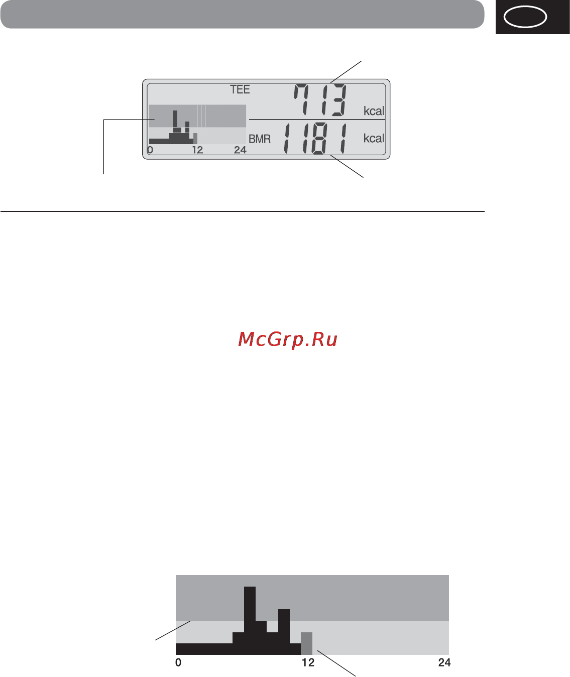 Tanita AM-120 [23/216] Total energy expenditure basal metabolic rate