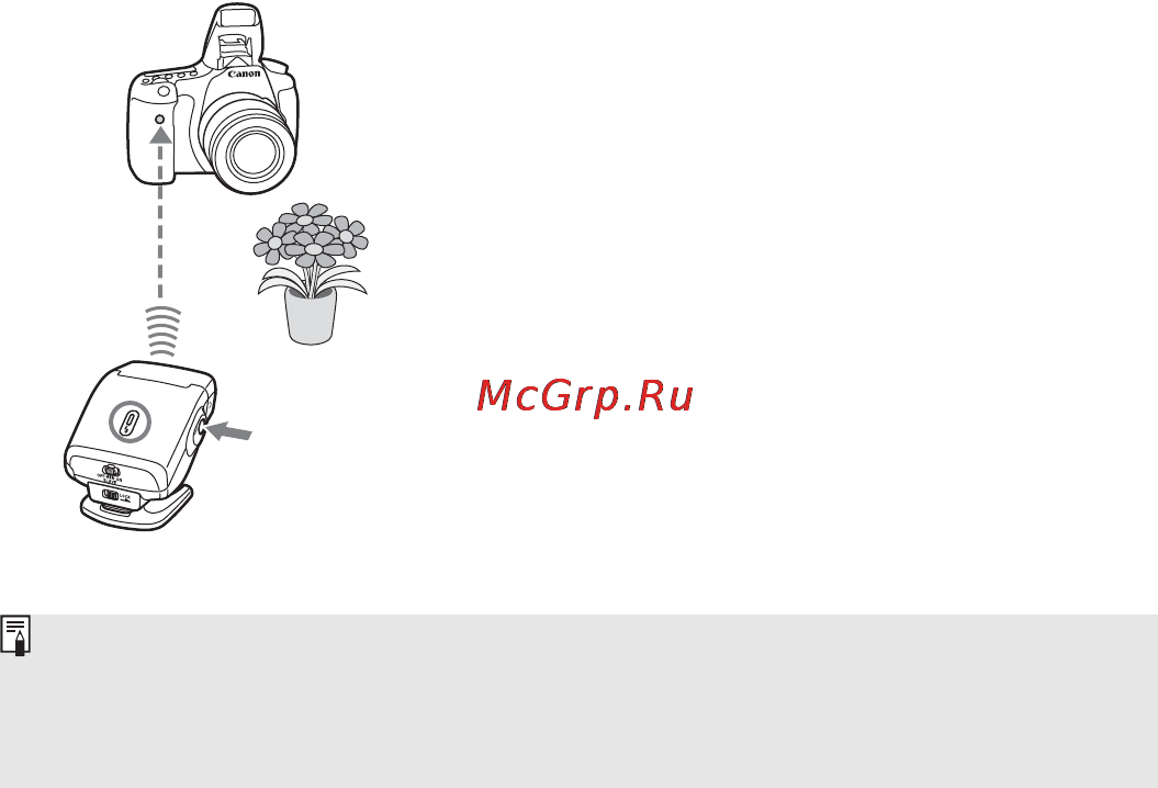 Canon 270EX II [20/30] Выполните съемку