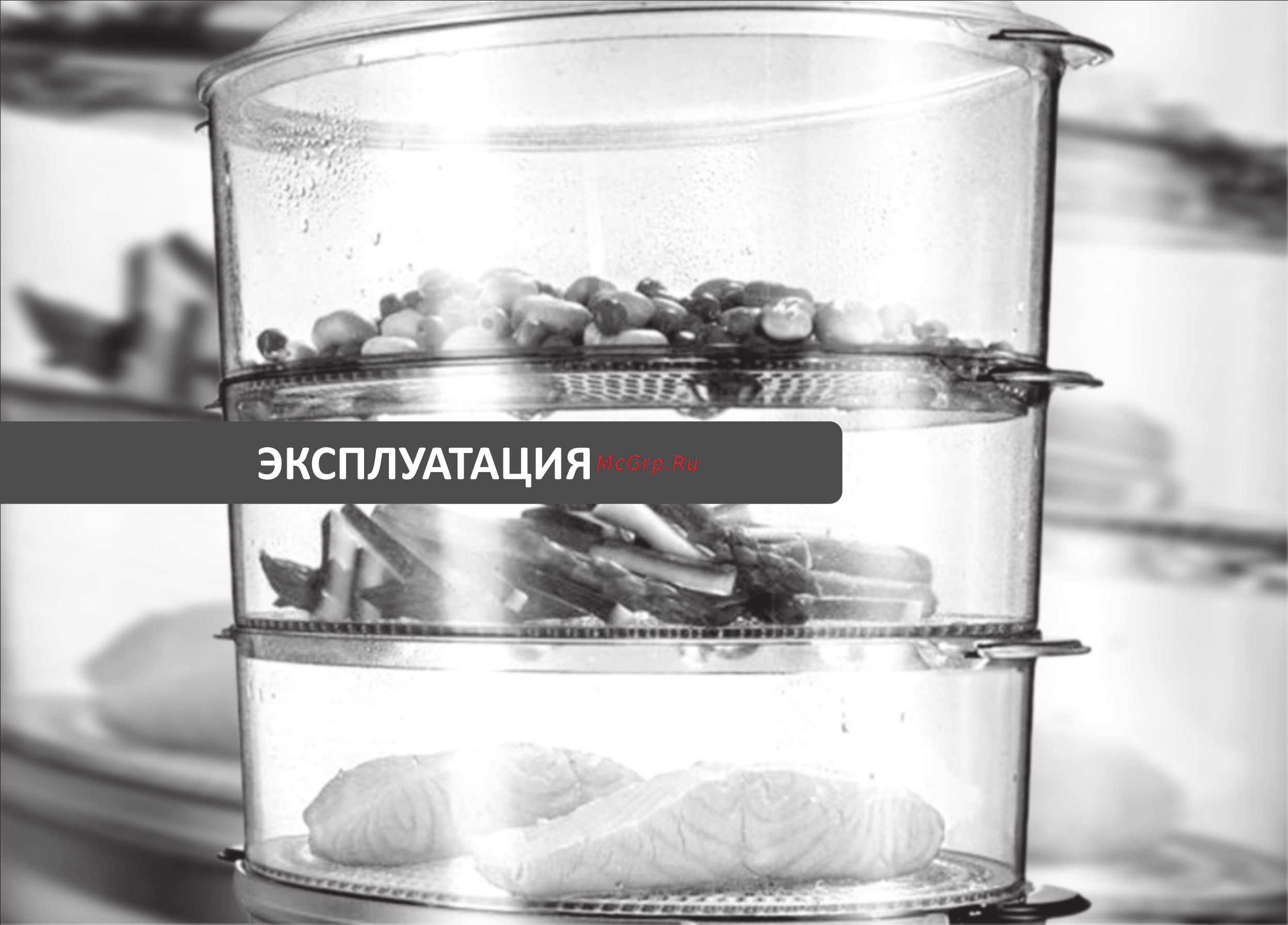 VR FS-3002V [5/10] Страница 5