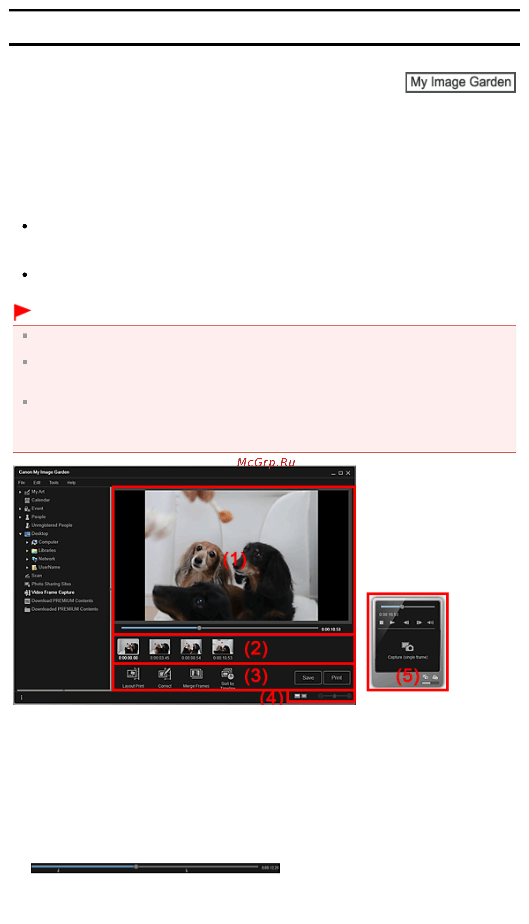 Canon Pixma MP230 [236/751] Окно захват видеокадра
