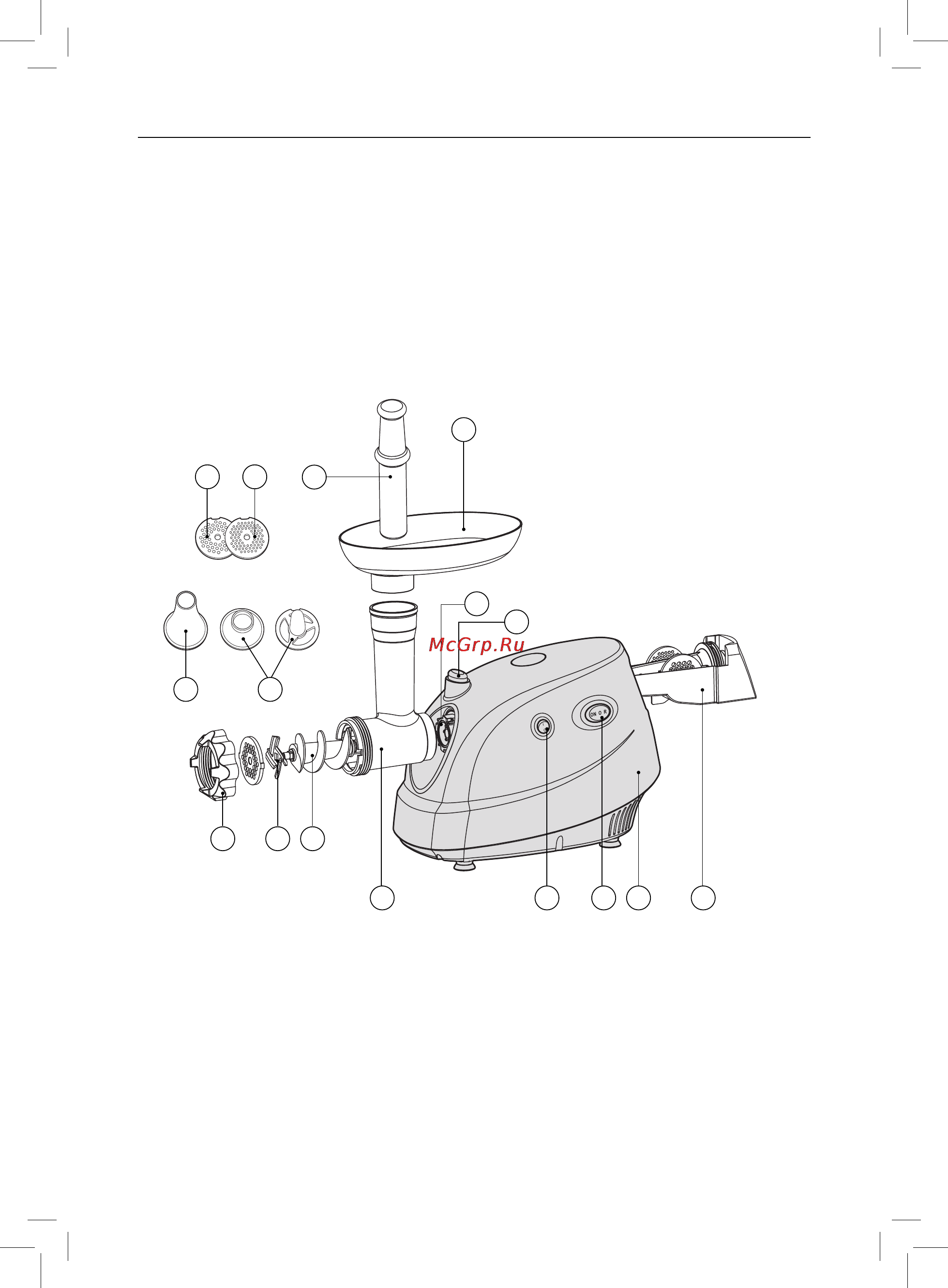 Rolsen MG-1509MR [4/12] Введение