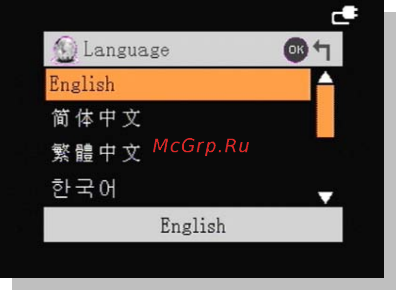 DOD GS300 [38/94] Language