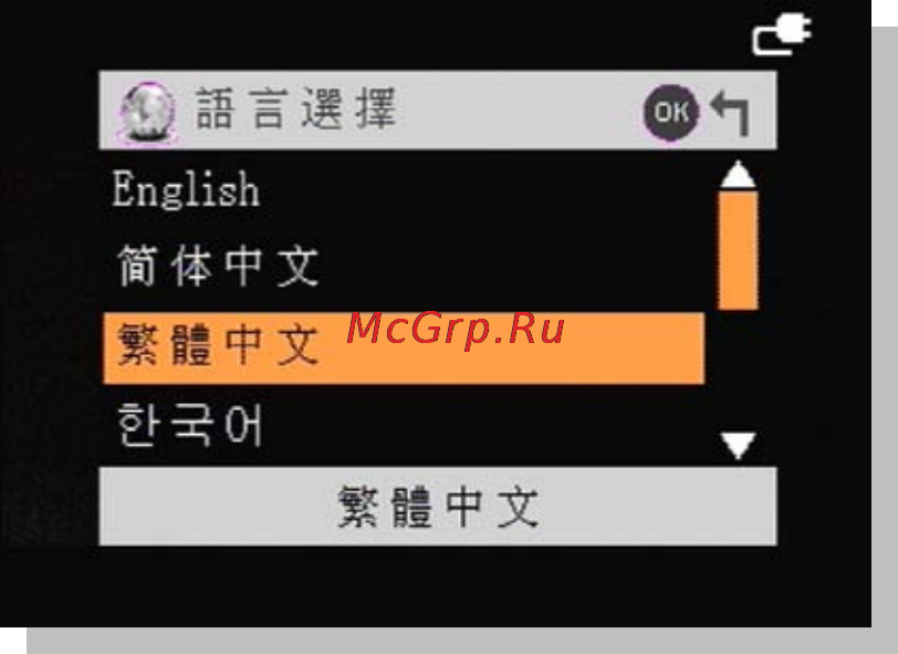 DOD GS300 [82/94] 語言選擇