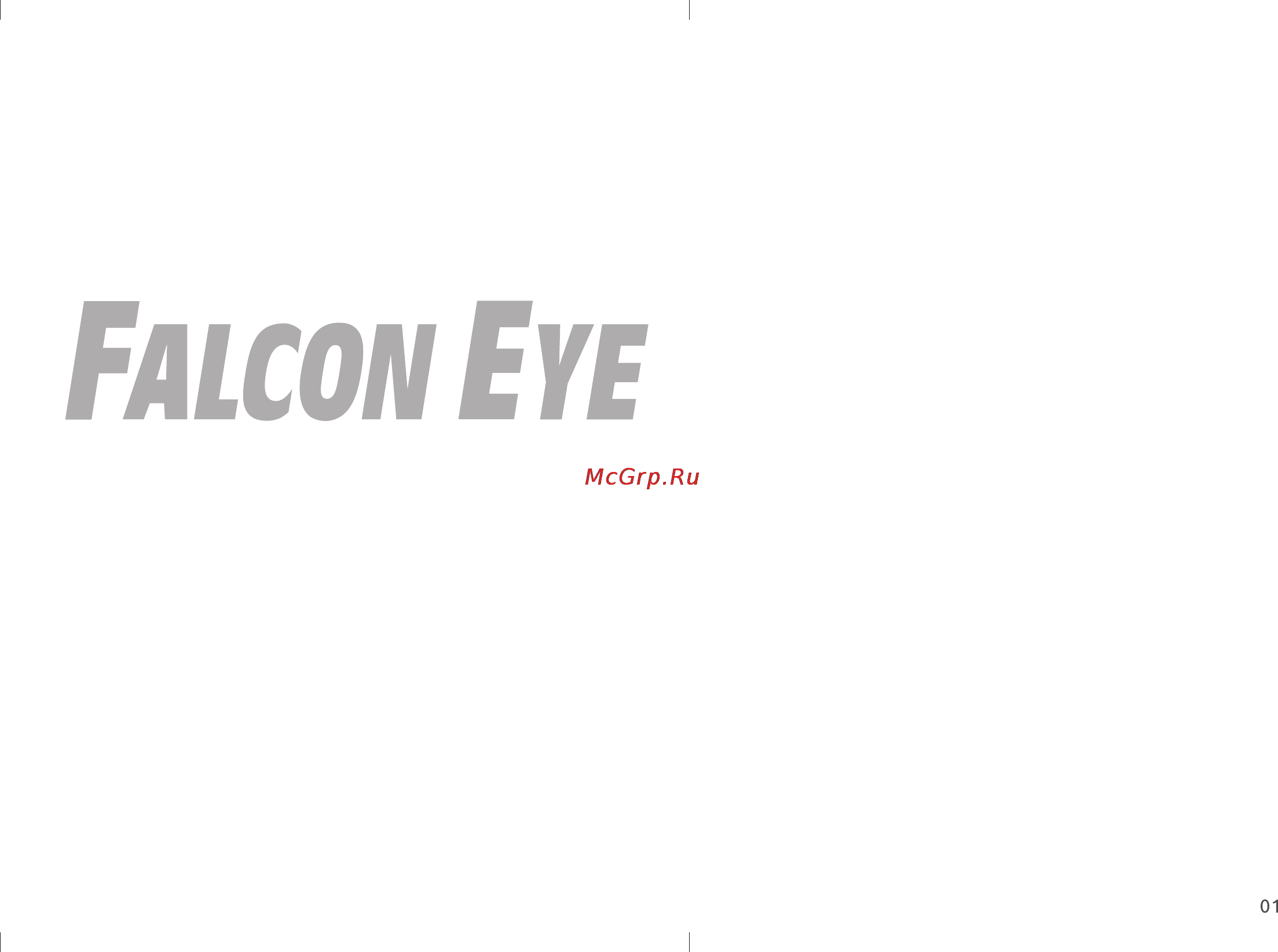 Falcon Eye NEXT [2/20] Содержание