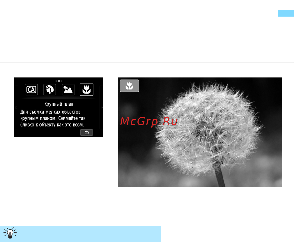 Canon EOS M+18-55IS STM+90EX White [80/350] Л съемка крупным планом крупный план
