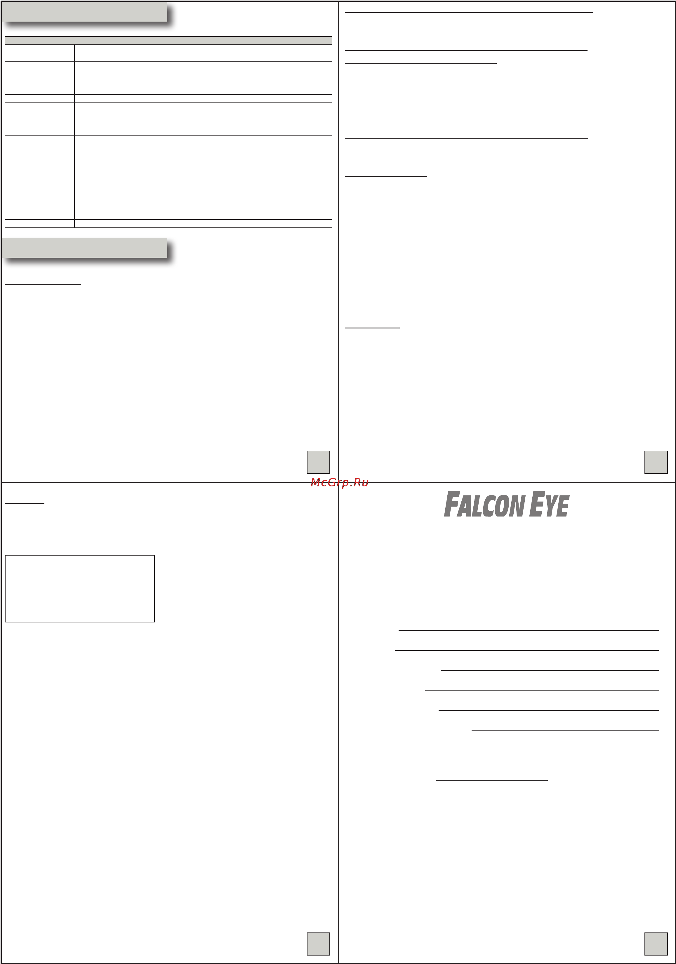Falcon Eye FE-DVZ1080/25M [2/2] Гарантийный талон