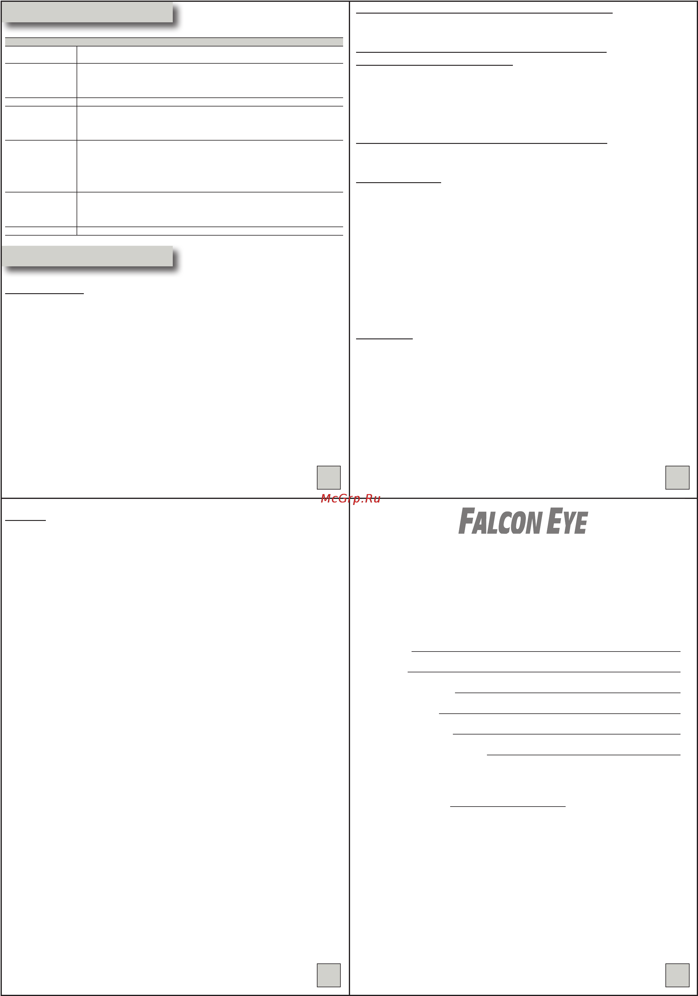 Falcon Eye FE-i1080/30M [2/2] Гарантийный талон