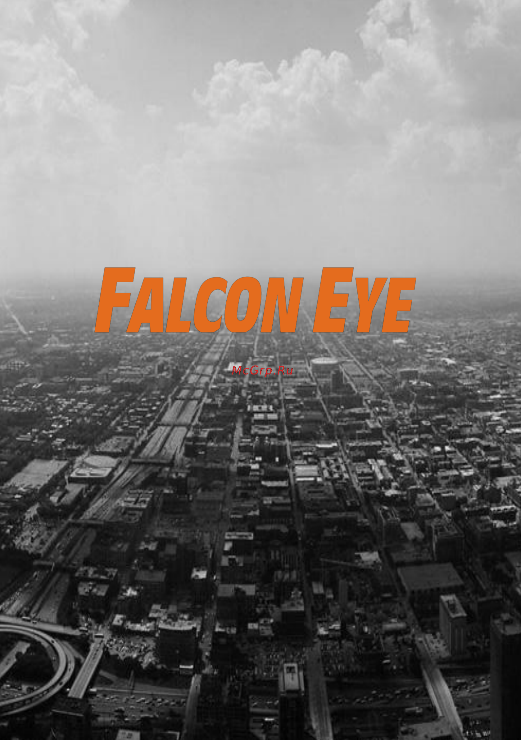 Falcon Eye FE-1008L Инструкция по эксплуатации онлайн