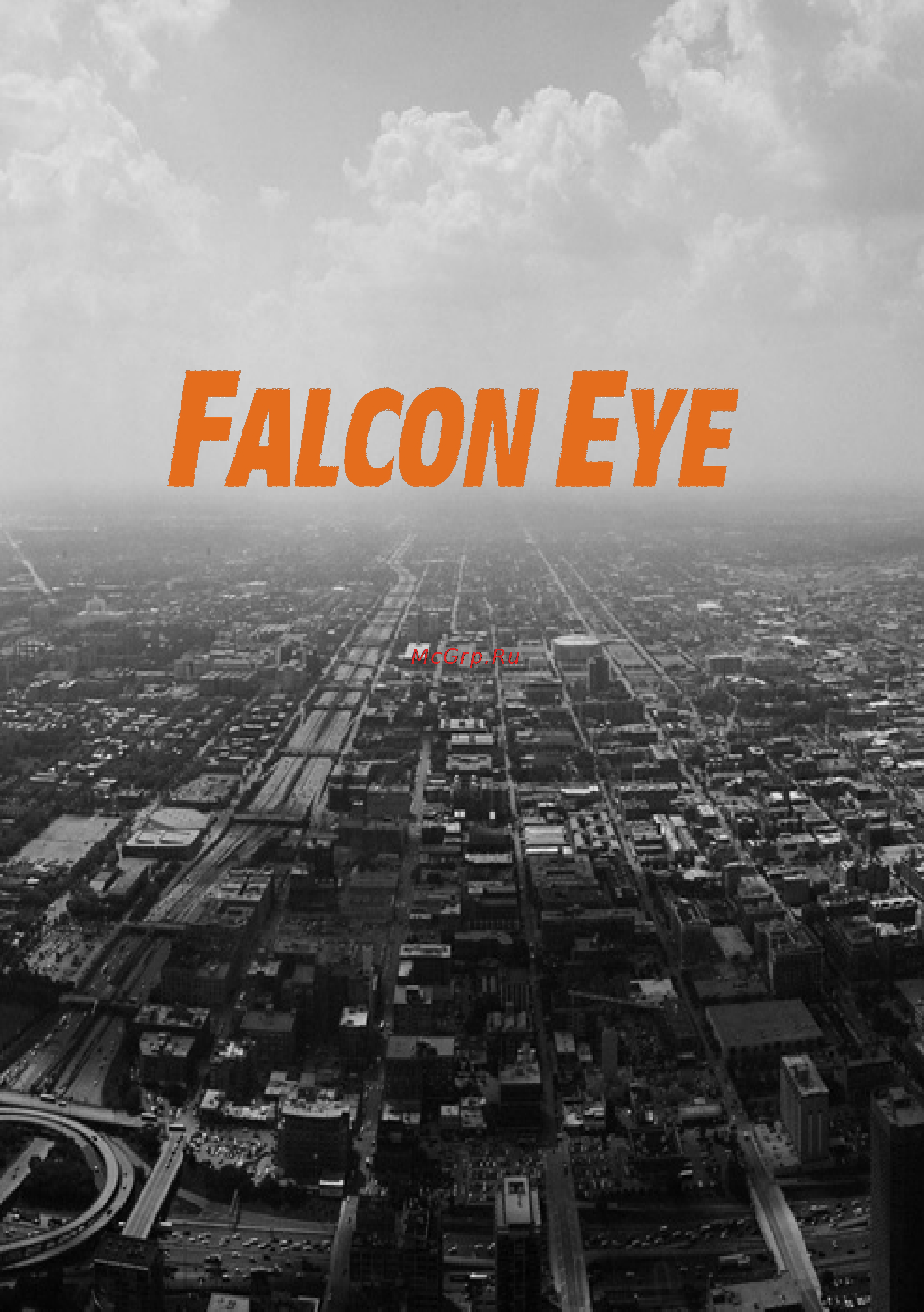 Falcon Eye FE-408H Инструкция по эксплуатации онлайн