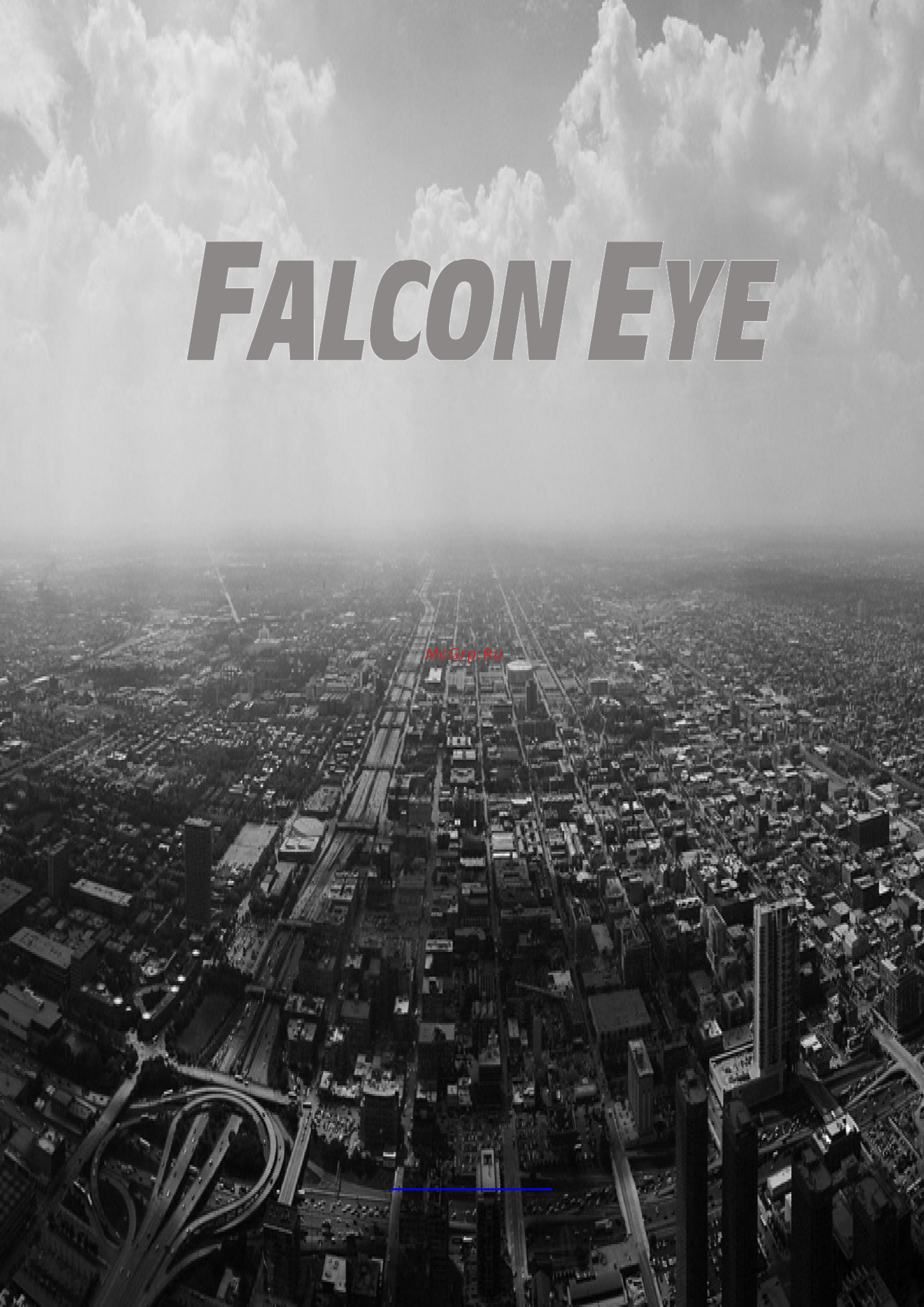Falcon Eye FE-SD6980 Инструкция по эксплуатации онлайн