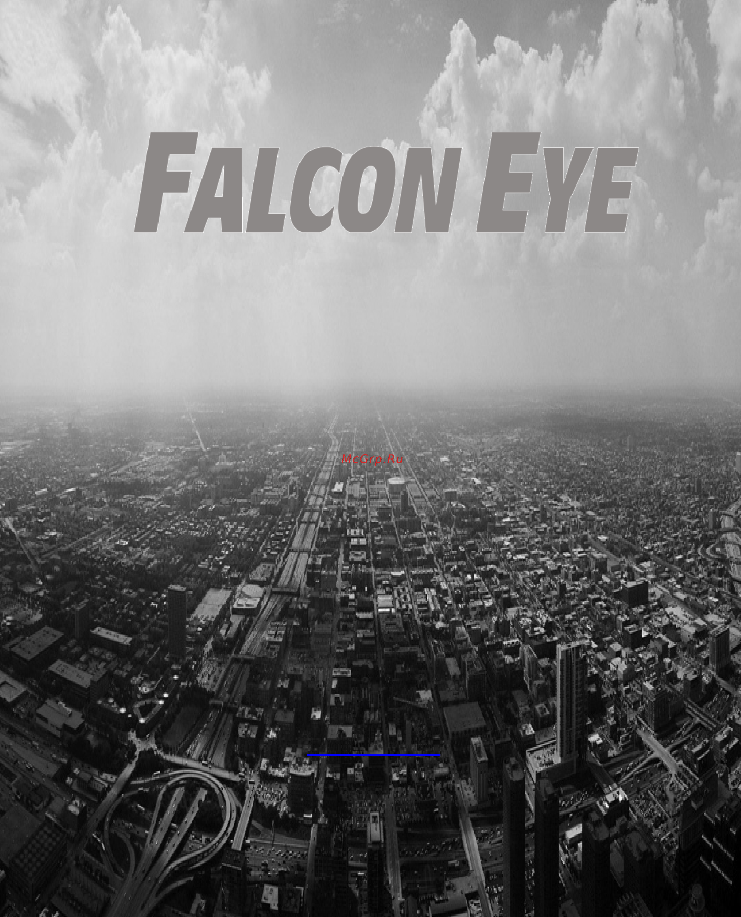 Falcon Eye FE-IPC-HFW3300CP Инструкция по эксплуатации онлайн