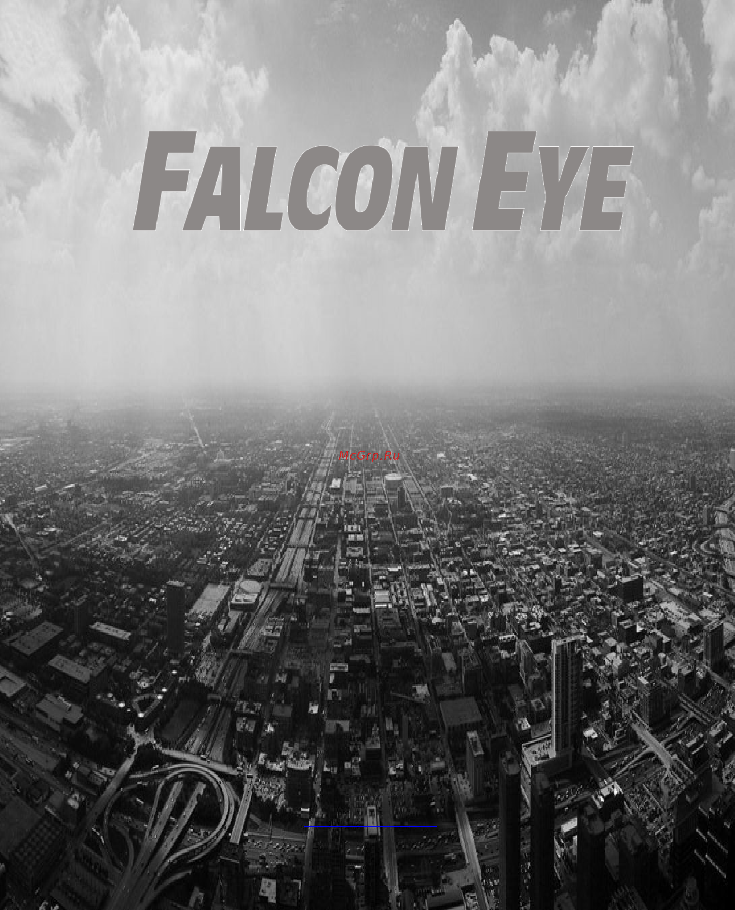 Falcon Eye FE-IPC-WD200P Инструкция по эксплуатации онлайн