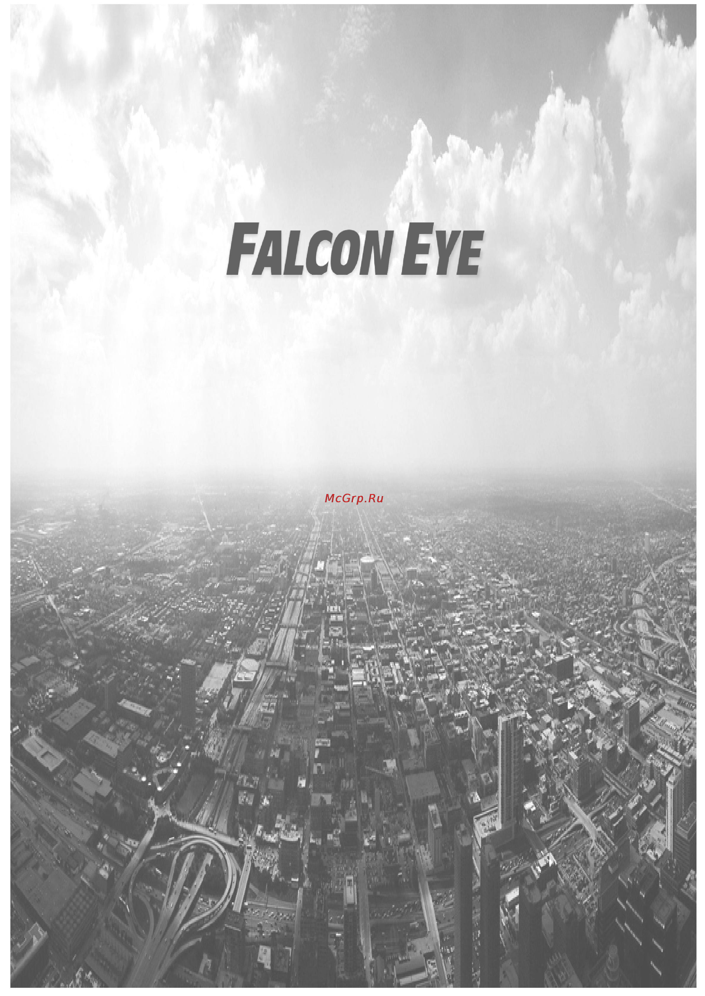 Falcon Eye FE-200GT Инструкция по эксплуатации онлайн