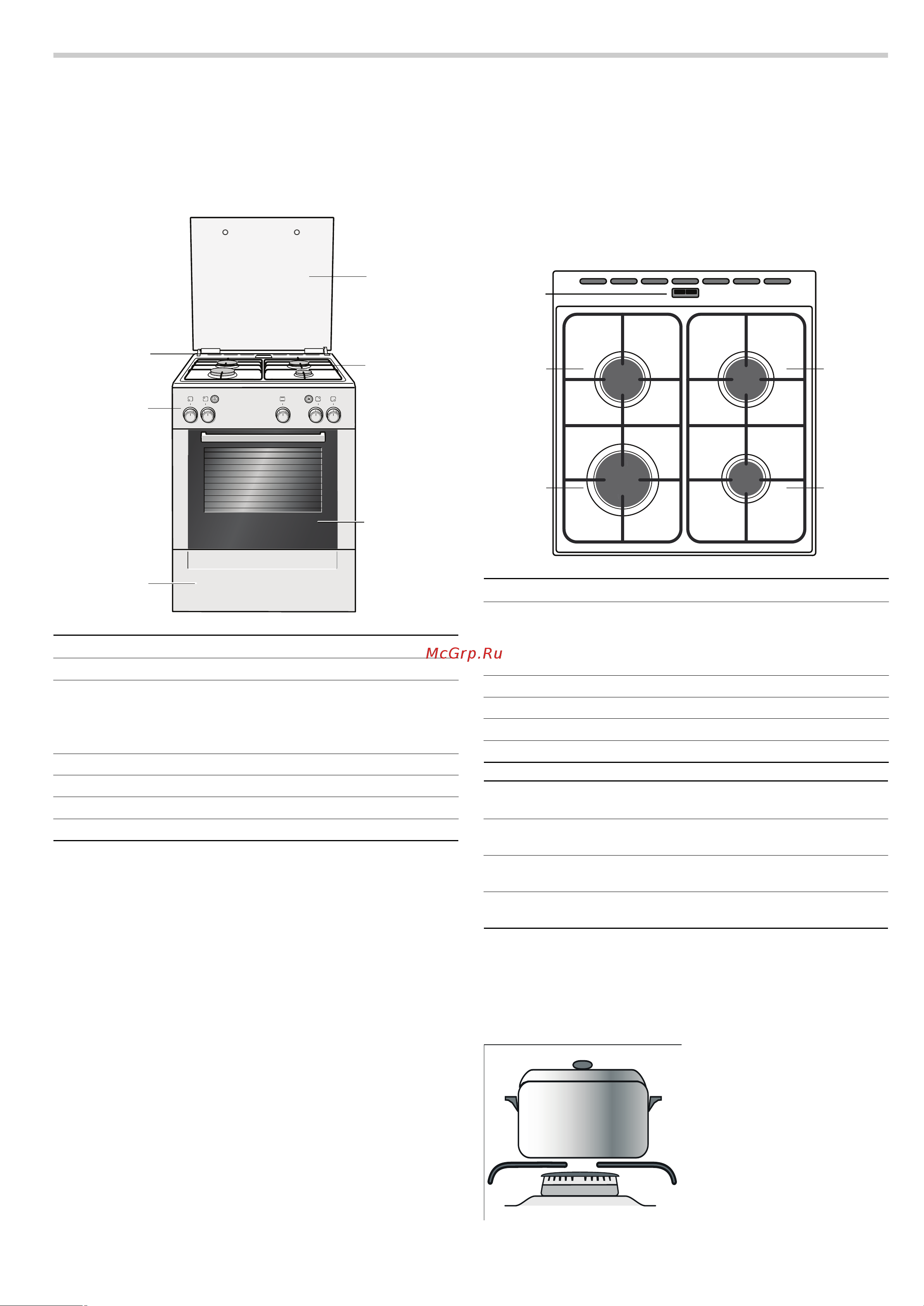 Bosch HGG223123E [9/23] Общее
