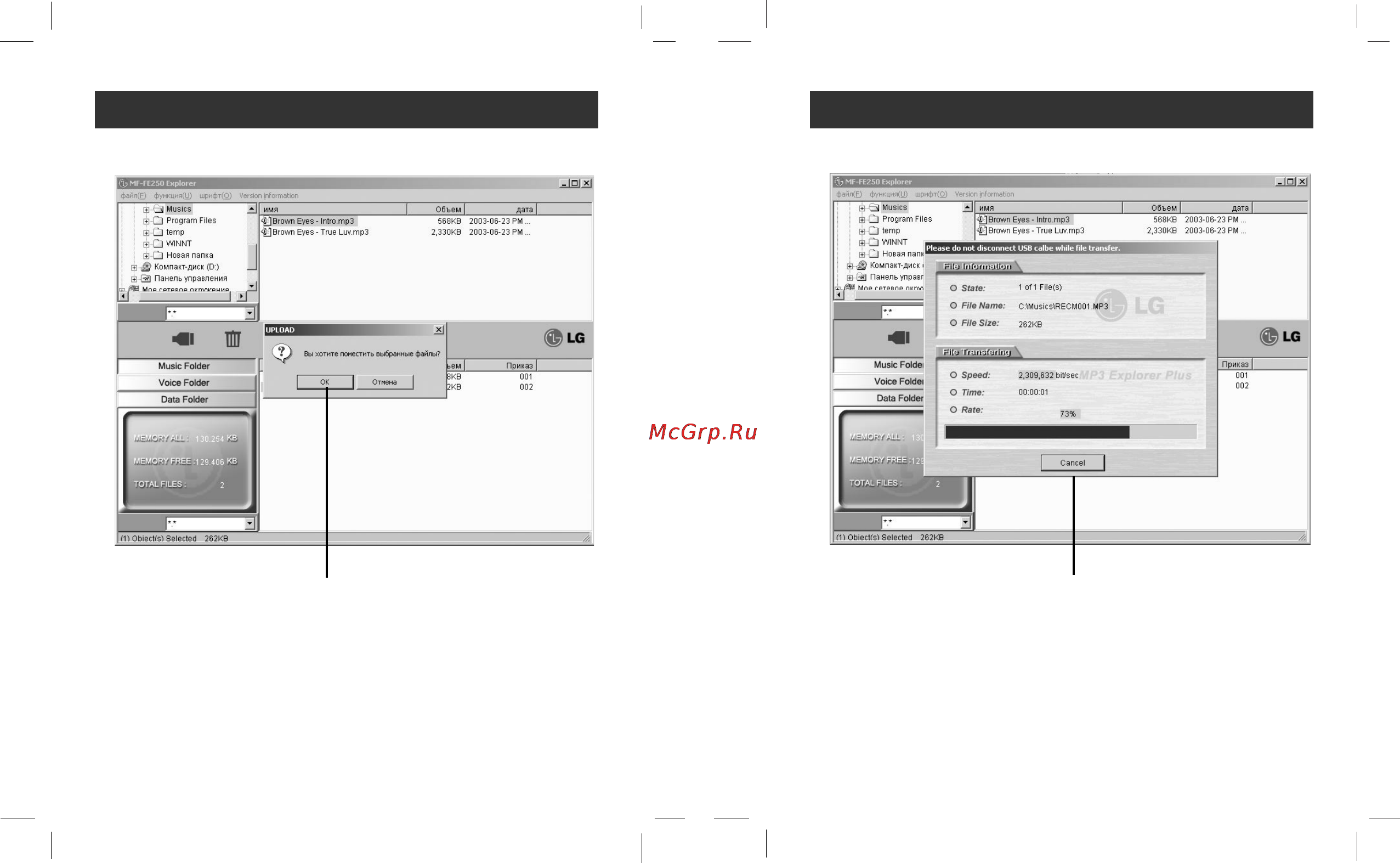 LG MF-FE250ES Инструкция по эксплуатации онлайн [15/32] 78440