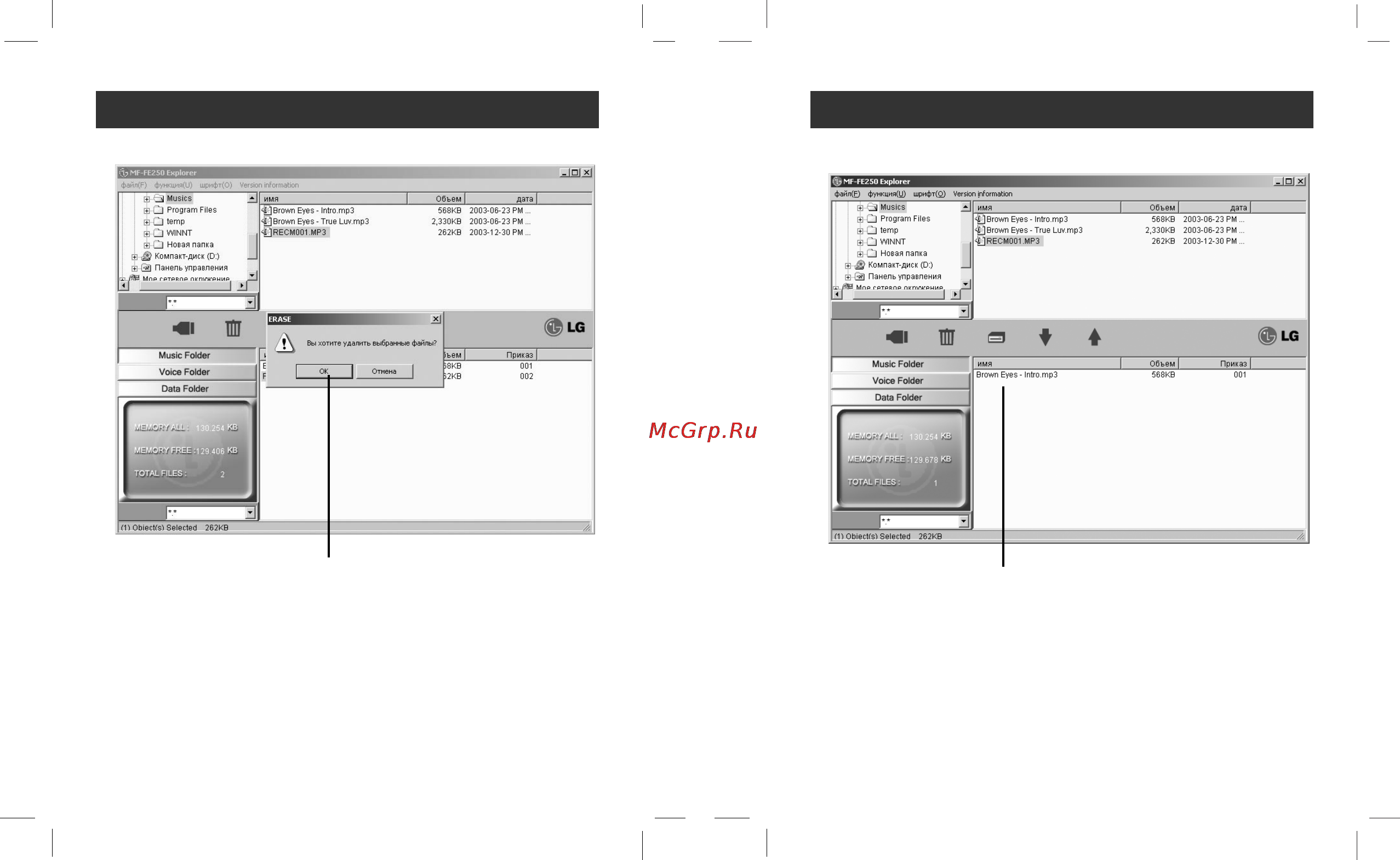 LG MF-FE250ES Инструкция по эксплуатации онлайн [17/32] 78440