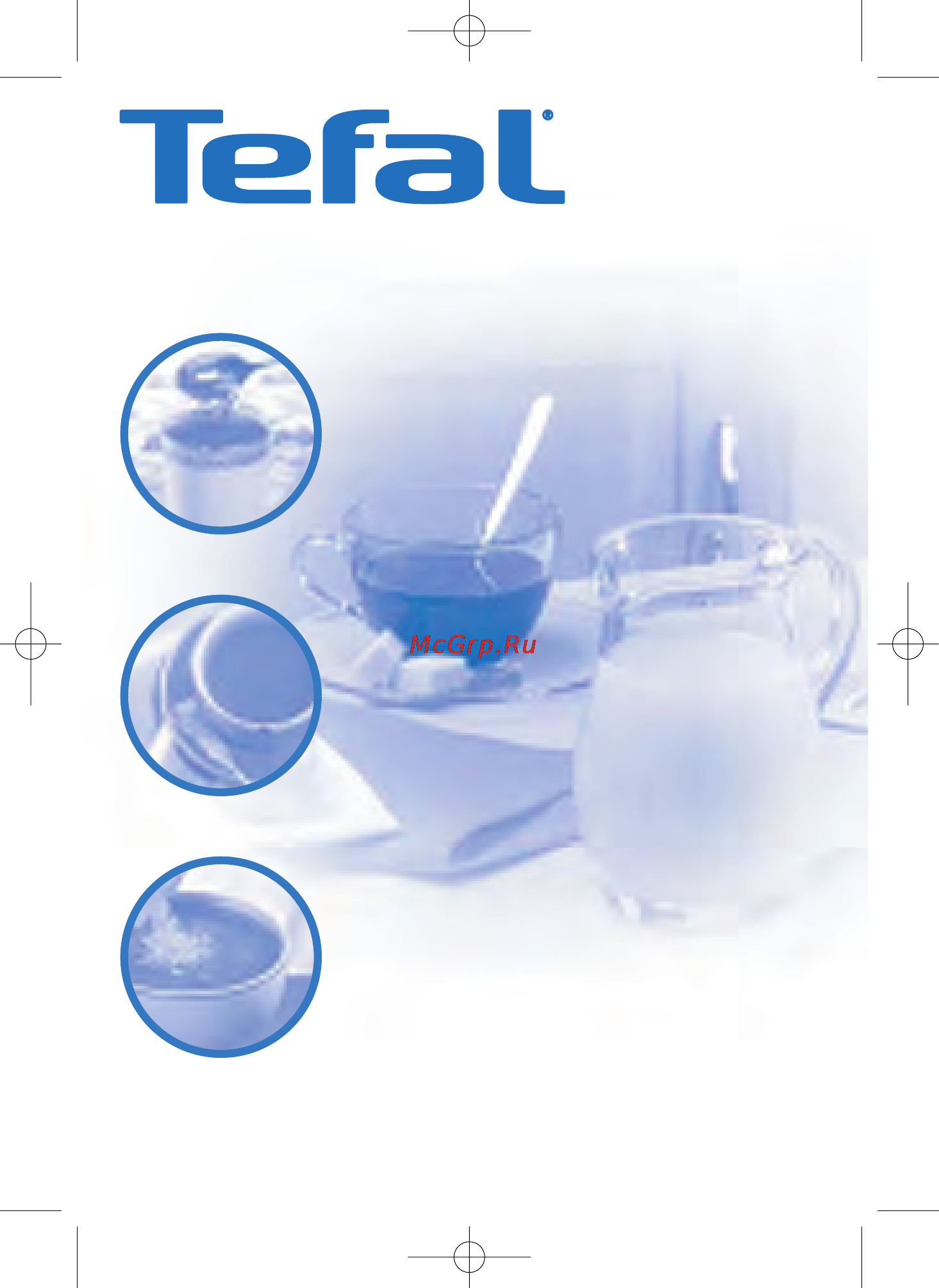 Tefal SPIRIT OF TEA BK2630 Инструкция по эксплуатации онлайн