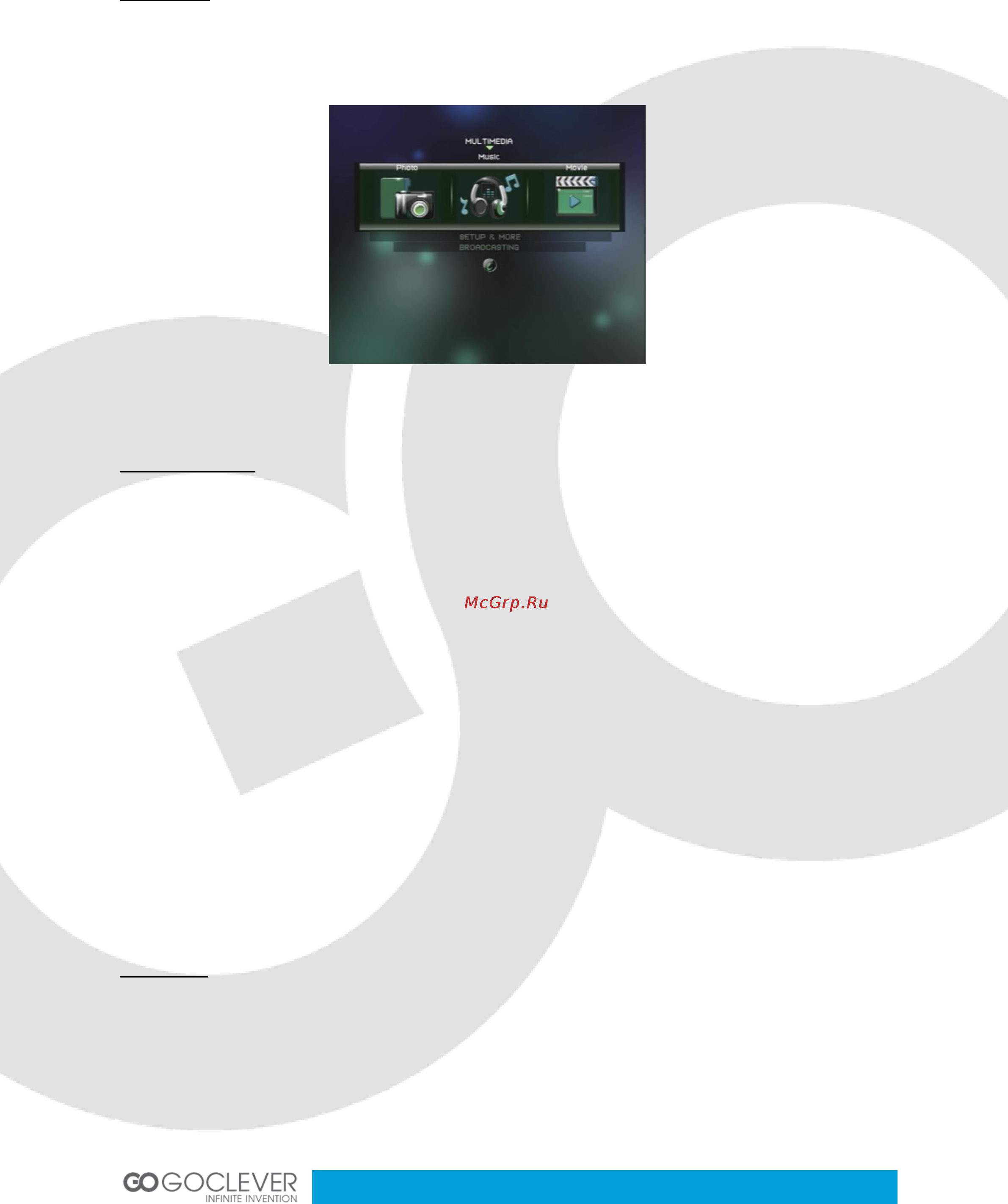 Goclever DVB-T 400 INTERNET TV Инструкция по эксплуатации онлайн [12/41] 79157