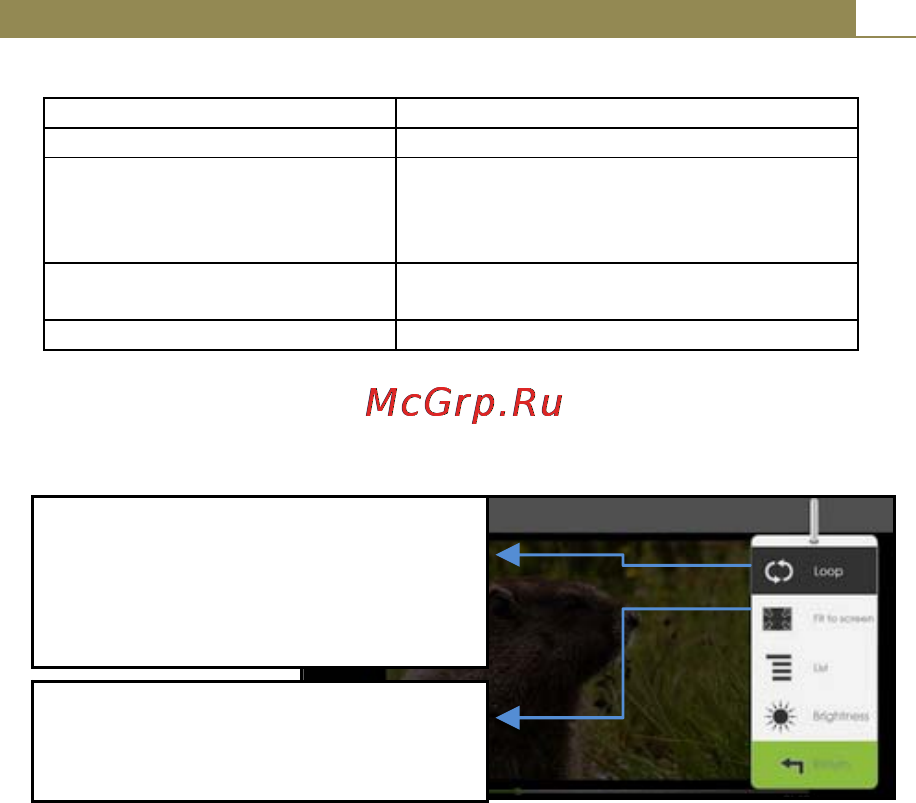 Ritmix RBK-460 Инструкция по эксплуатации онлайн [17/20] 80065