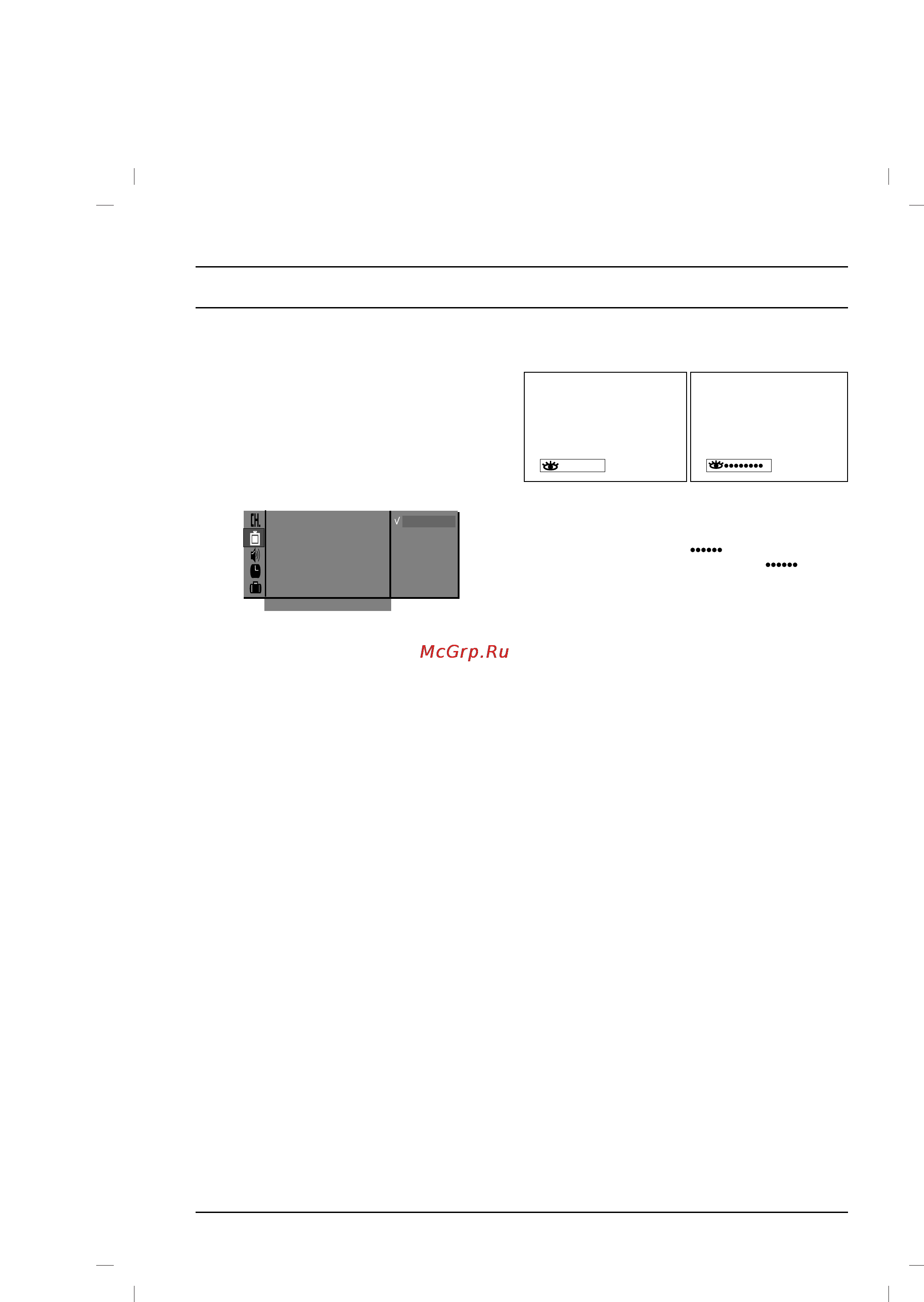LG 29FG1RL [12/20] Picture adjustment