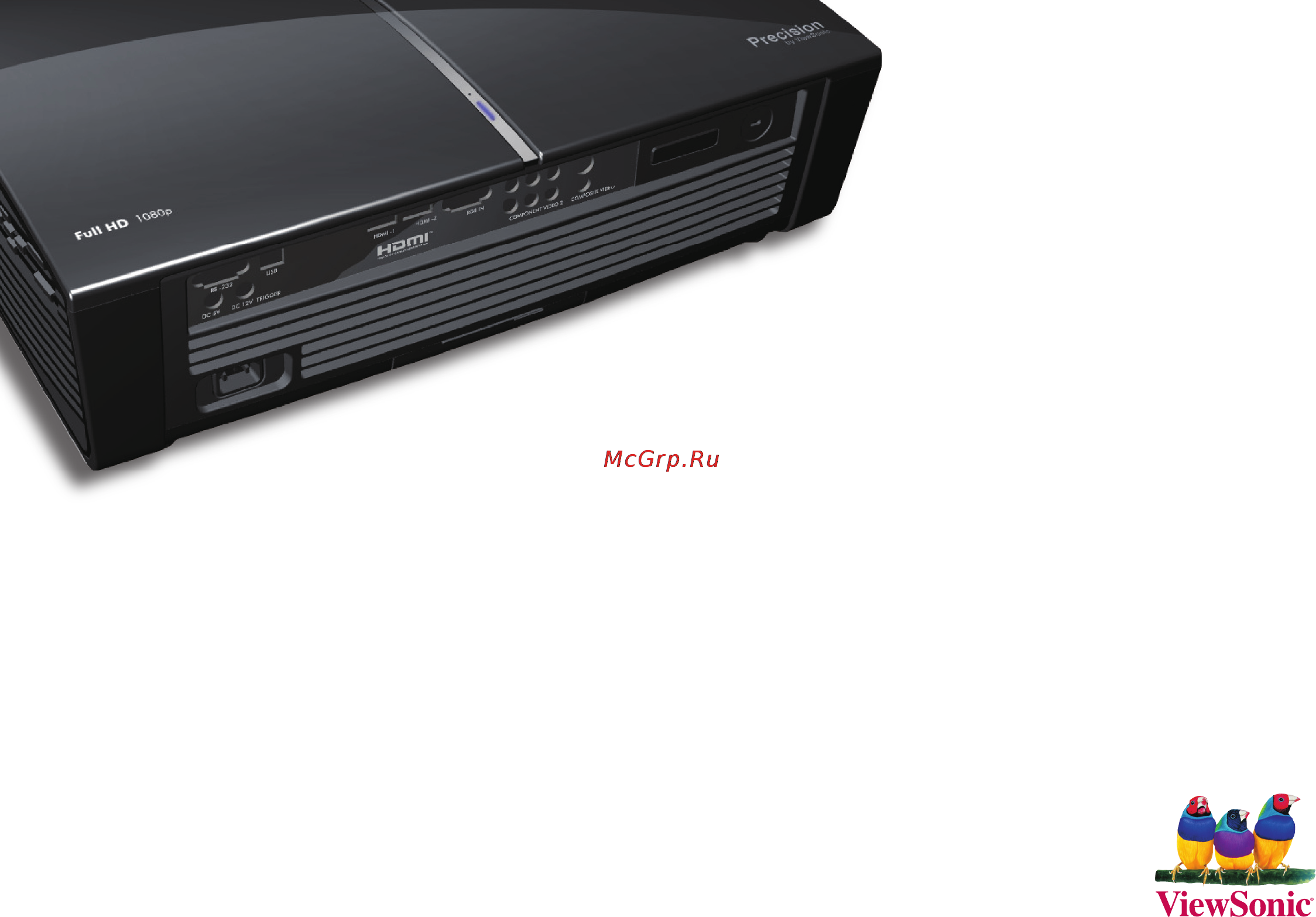 Viewsonic PRECISION PRO8100 Инструкция по эксплуатации онлайн [60/60] 81231