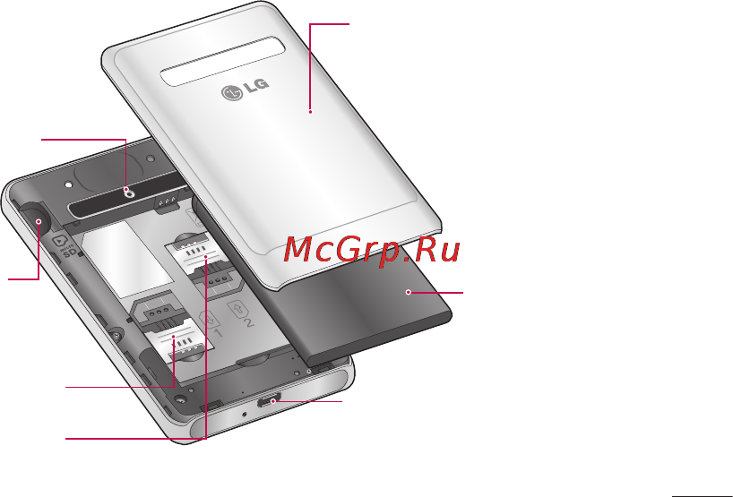 LG LGE405 Optimus L3 Dual Инструкция по эксплуатации онлайн [323/370] 81745