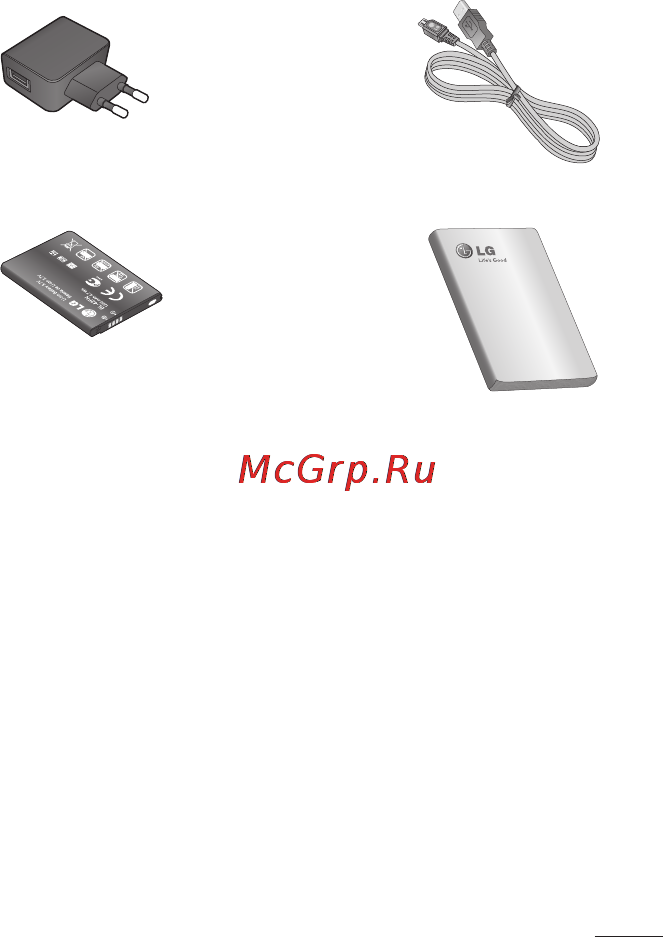 LG P350 [177/242] Аксесуари
