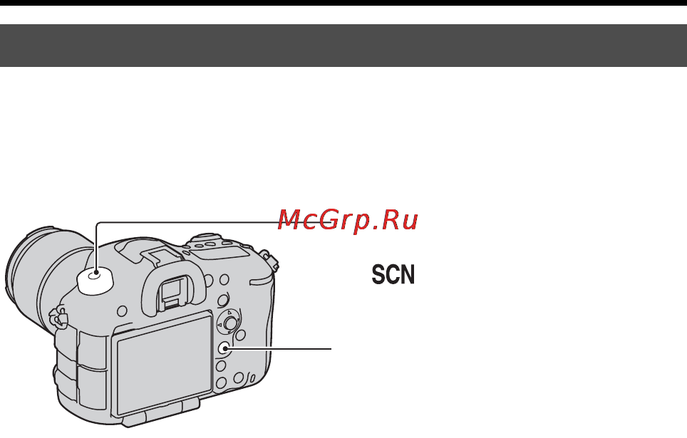 Sony Alpha SLT-A99 Body Black [194/226] Знімання з рук у сутінках