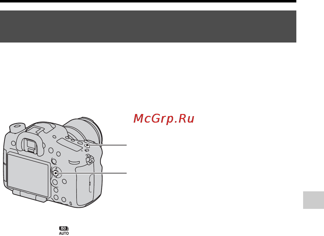 Sony SLT-A99 [81/226] Чувствительность iso многокадровое шумоподавление