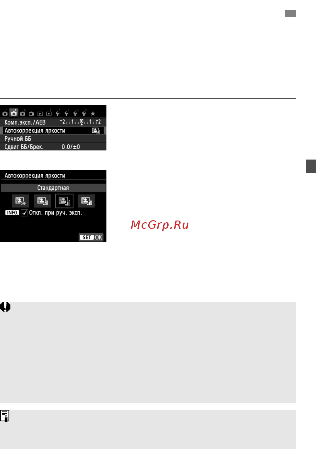 Canon EOS 700D+EF-S 18-135 IS STM [125/388] Auto lighting optimizer автокоррекция яркост