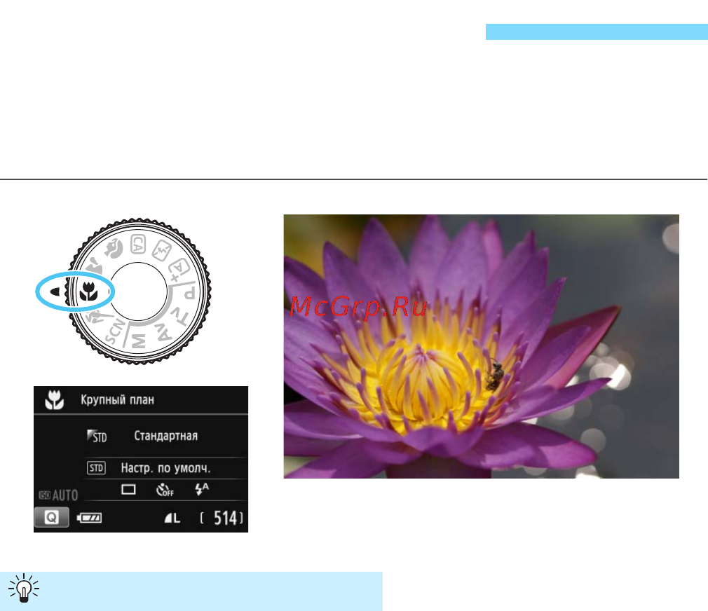 Canon EOS 100D Body [70/388] Съемка крупным планом