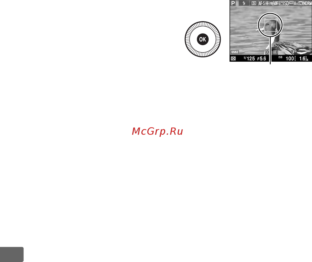 Nikon Coolpix A Silver  Инструкция по эксплуатации онлайн [98/278] 227321