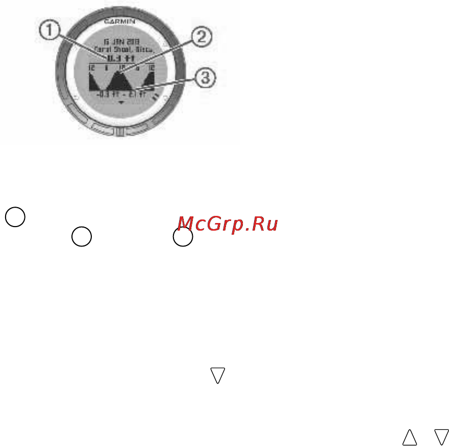 Garmin Quatix [8/24] Парусные гонки