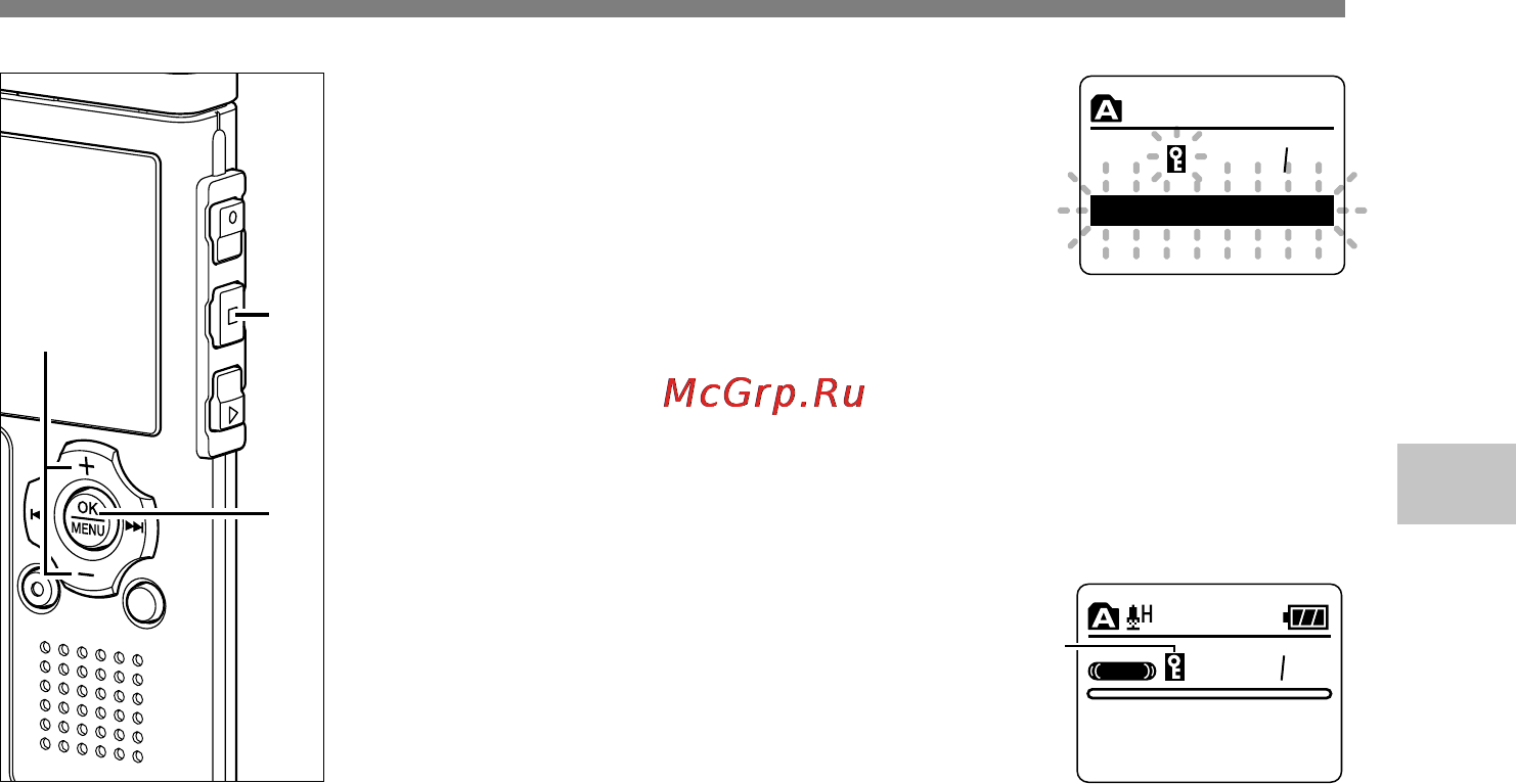 Olympus WS-311M Инструкция по эксплуатации онлайн [41/104] 84295
