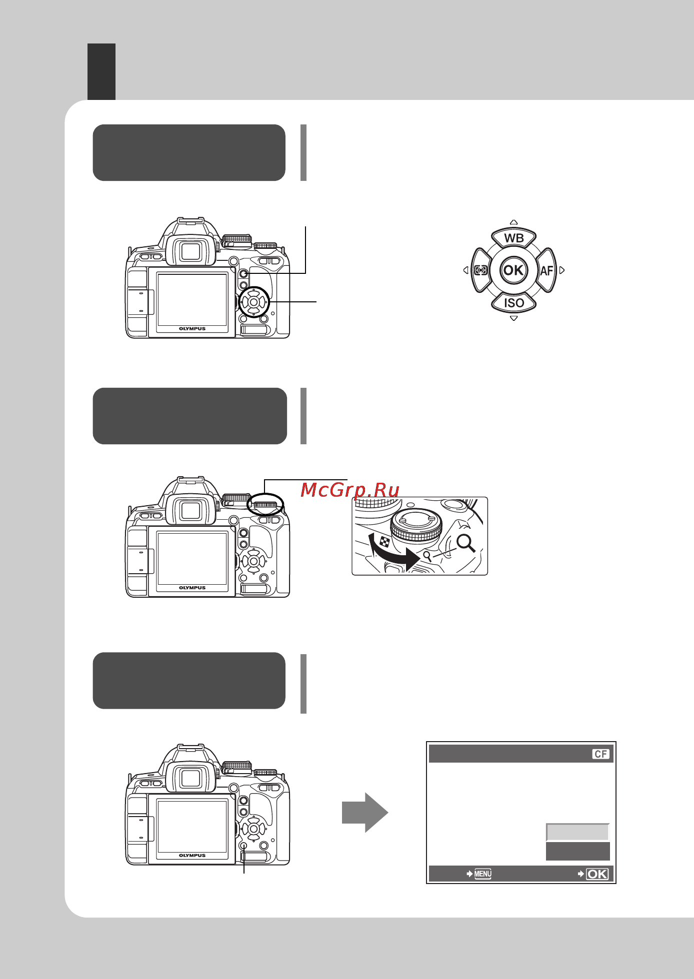 Olympus E-600 [18/163] Back set