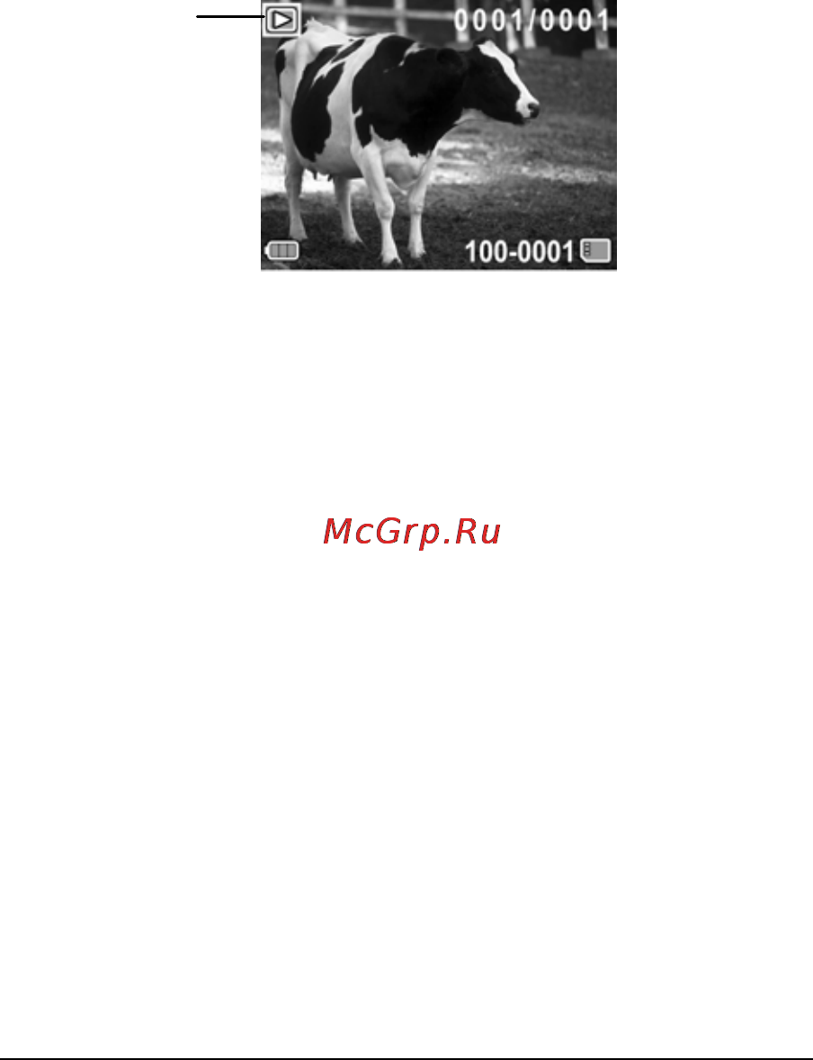 Rekam Bizzaro HDC-2532 [35/79] Просмотр изображений