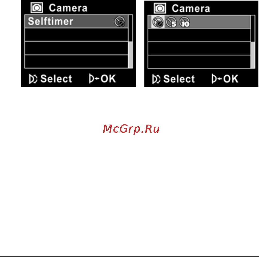 Rekam PREZIO HDC-3535 [65/79] Автоспуск