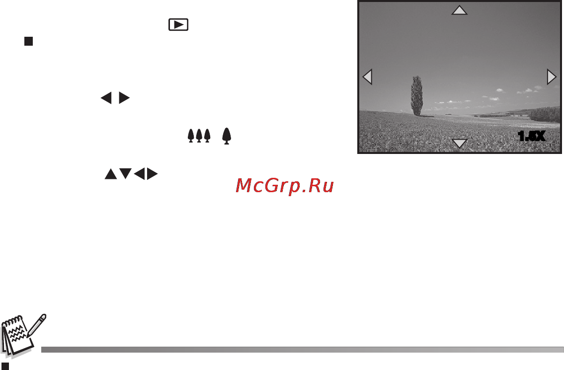 Rekam iLook 645 [33/60] Увеличение изображений