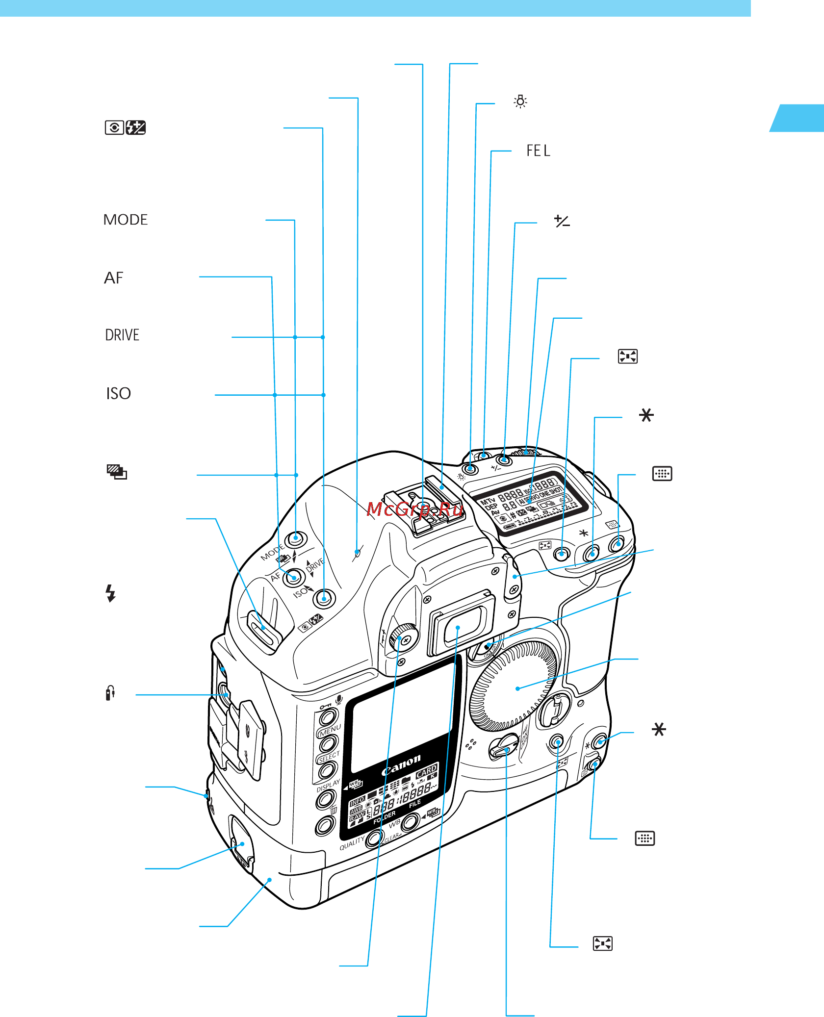 Canon EOS 1 DS [15/176] Элементы камеры и их назначение