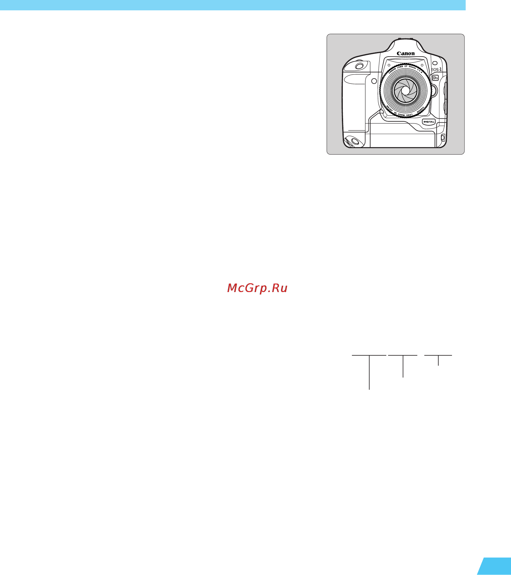 Canon EOS 1 DS [155/176] F9z0001 jpg